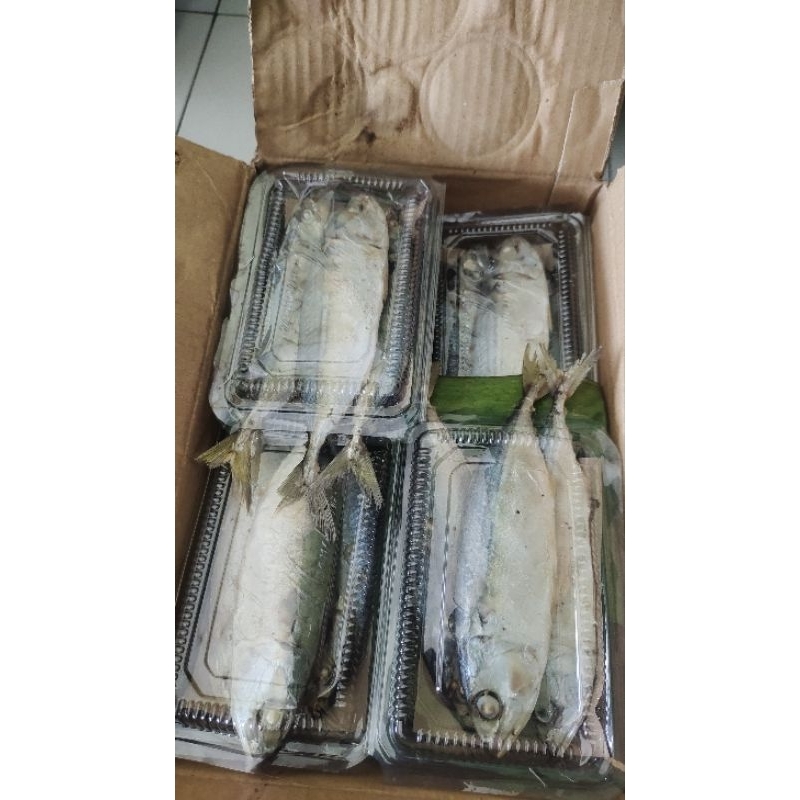 

ikan robus 300gram