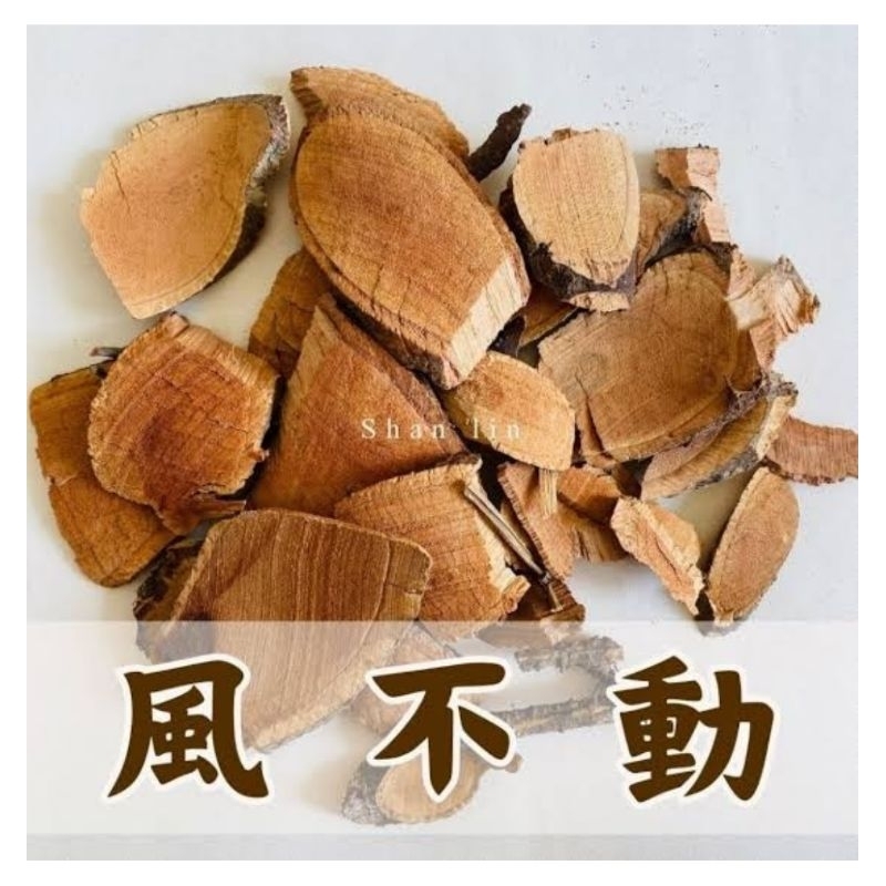 

100gr 風不動 Feng Bu Dong Formosana Dischidia