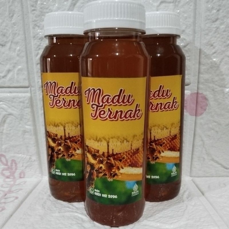 

Madu Ternak Aslinya