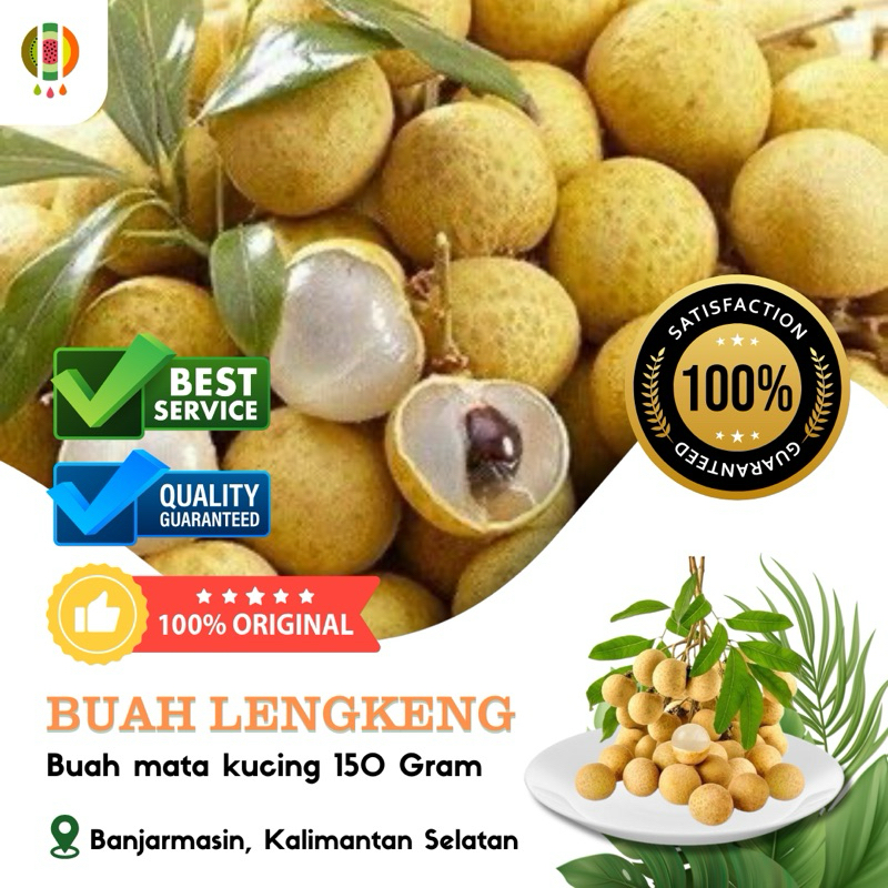 

Buah Lengkeng atau Buah MataKucing