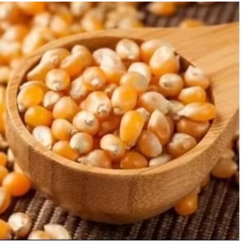 

Jagung Popcorn Repack 500 gram