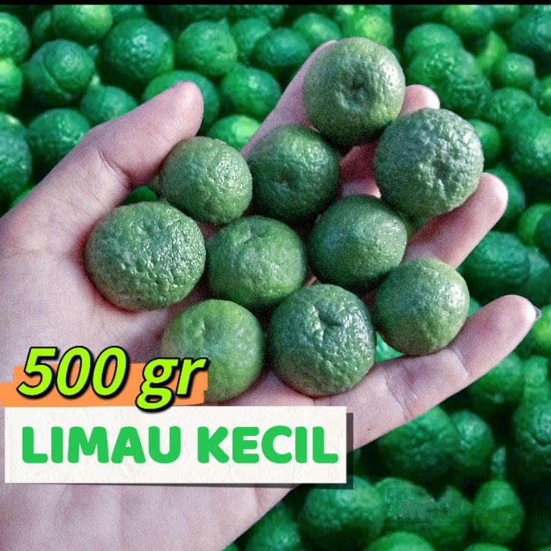 

500 GRAM JERUK LIMAU KECIL LIMO BASO ACI