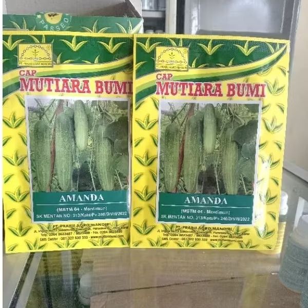 BENIH BIBIT TIMUN LALAP AMANDA 20 GRAM MUTIARA BUMI