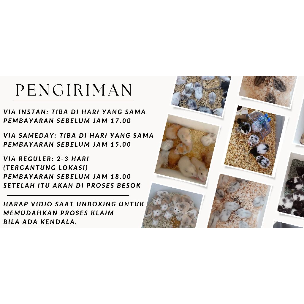 

RB BOX PACKING PROMO SYIRIAN