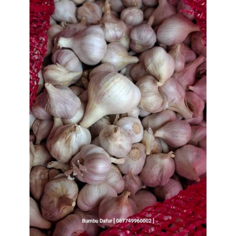 

BAWANG PUTIH ASLI LOMBOK 500GR