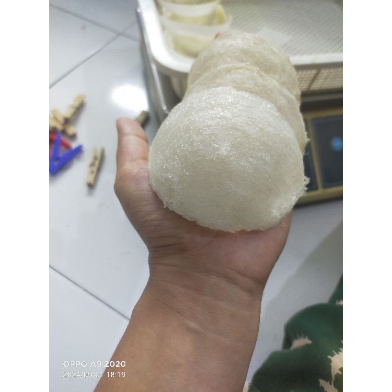 

Sarang walet bersih jenis mangkok