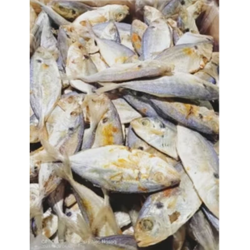 

ikan asin selar 100gram/ ikan asin selar 100gram