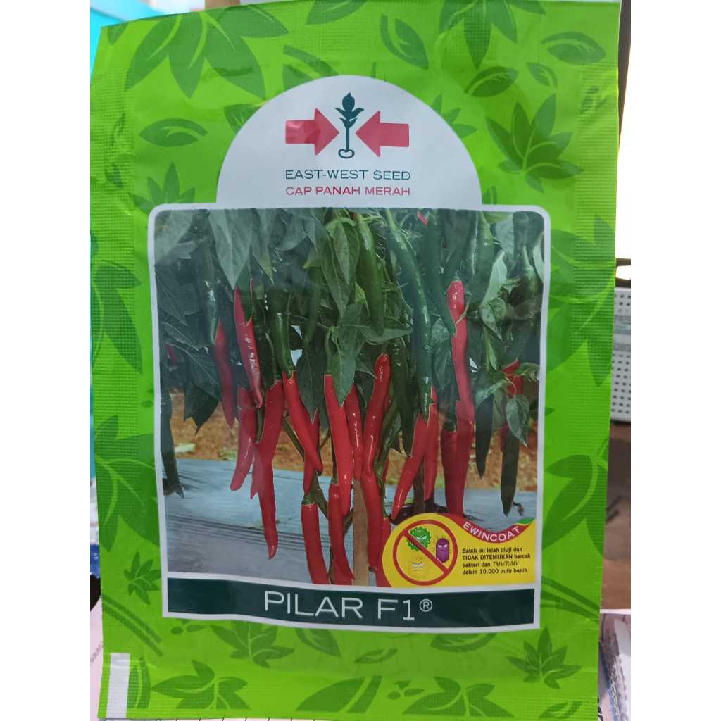 Benih unggul Cabe Besar PILAR F1 1500 Butir