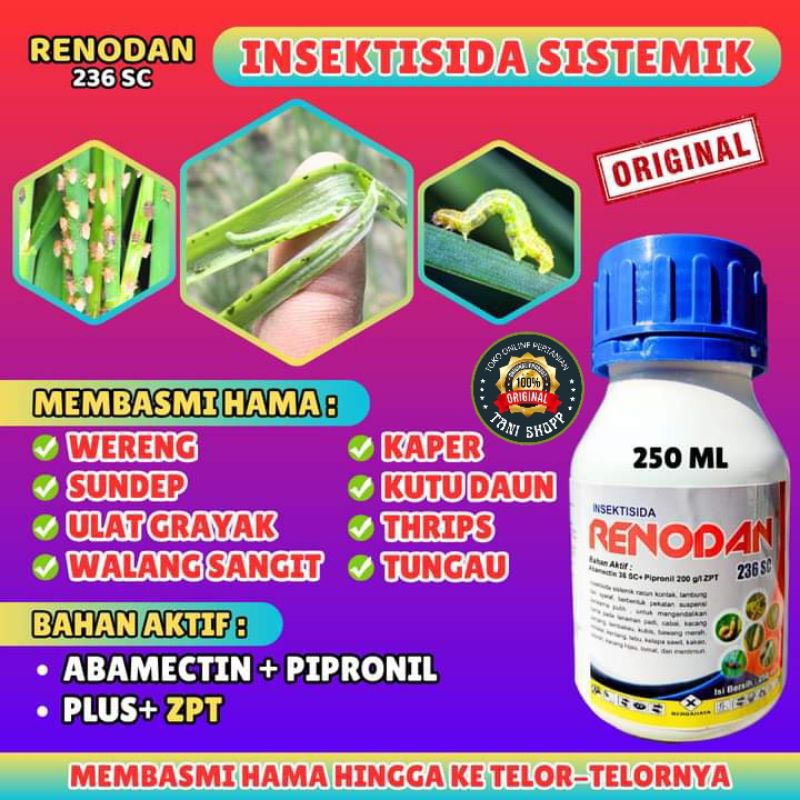 RENODAN BASMI WERENG, WALANG SANGIT, SUNDEP, ULAT, DLL