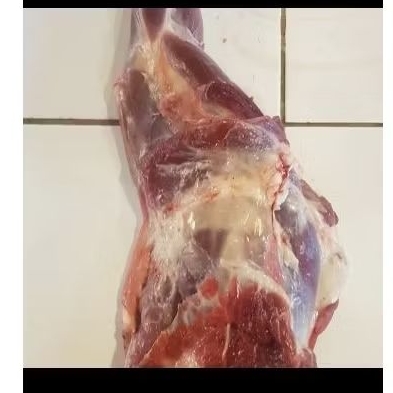 

Paha Depan Kambing 1000 gram dan 1500 gram