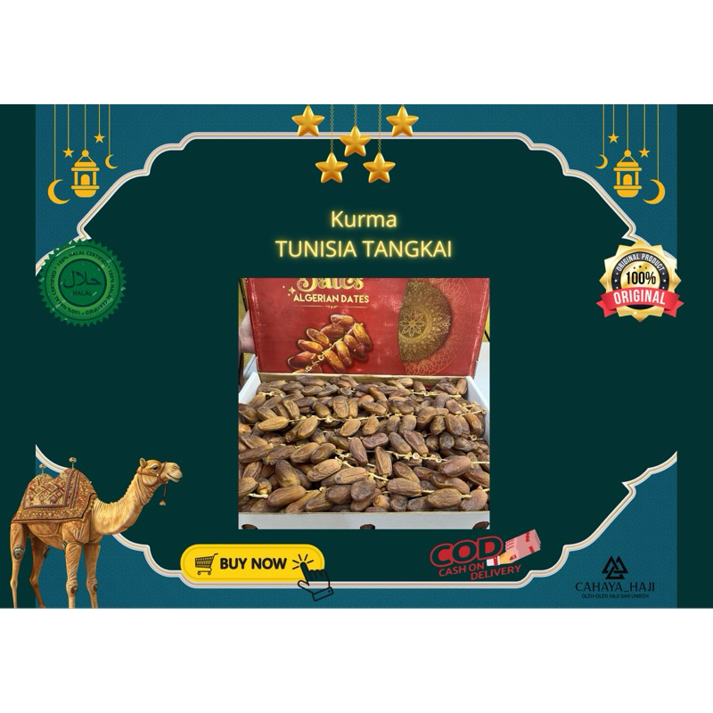 

Kurma Tunisa tangkai isi 5 kg king date Alger
