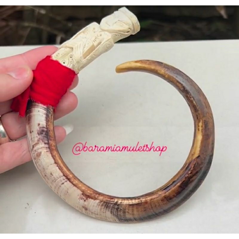 Gelang Taring Raja Babi Hutan Ukiran
