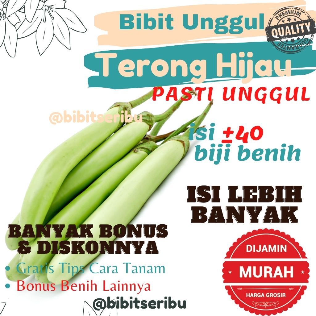 Bibit Terong Hijau Benih Sayuran dan Buah Siap Tanam Lengkap Bisa untuk Hidroponik