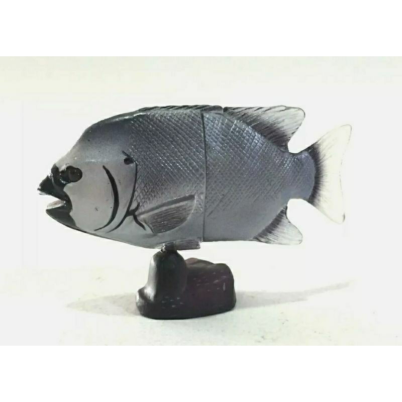 kaiyodo furuta choco egg parrot fish