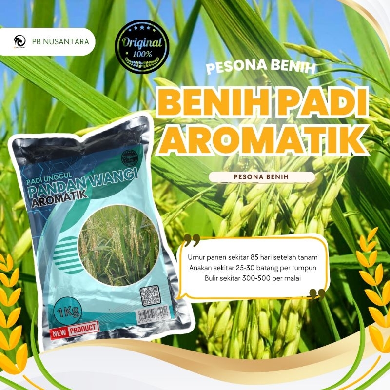 benih padi berkualitas pandan wangi aromatik pandan wangi padi unggul kemasan 1kg