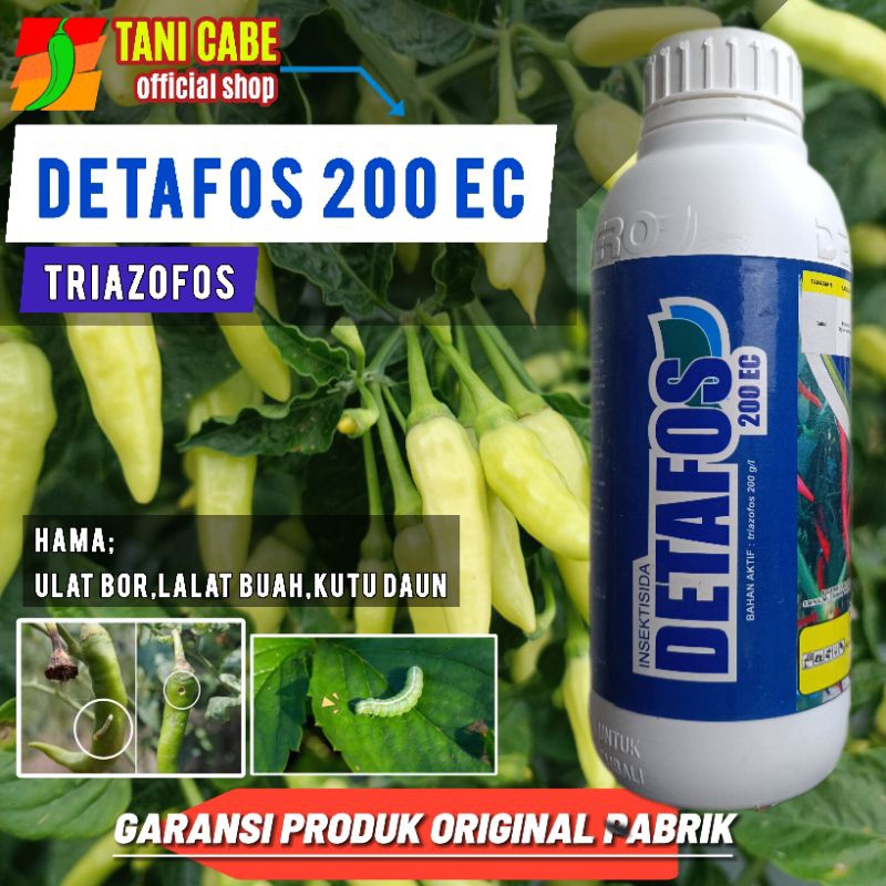 INSEKTISIDA DETAFOS TRIAZOFOS BASMI LALAT BUAH DAN TELUR ULAT