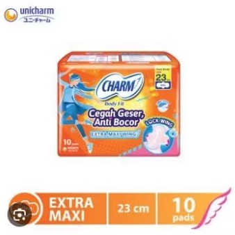 charm wing isi 10