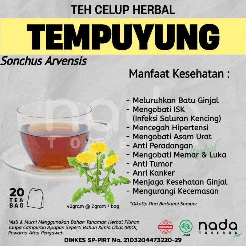 

Teh Celup Herbal TEMPUYUNG / JOMBANG Isi 20 Tea Bag | Kencing Berbusa & Batu Ginjal | Sonchus Arvensis