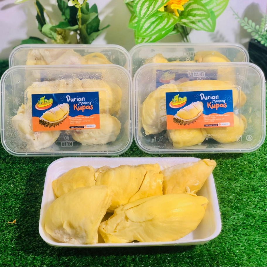 

DURIAN MONTONG/DURIAN/DUREN