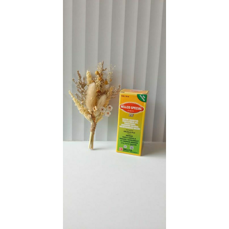 Obat nelco 55ml PE special