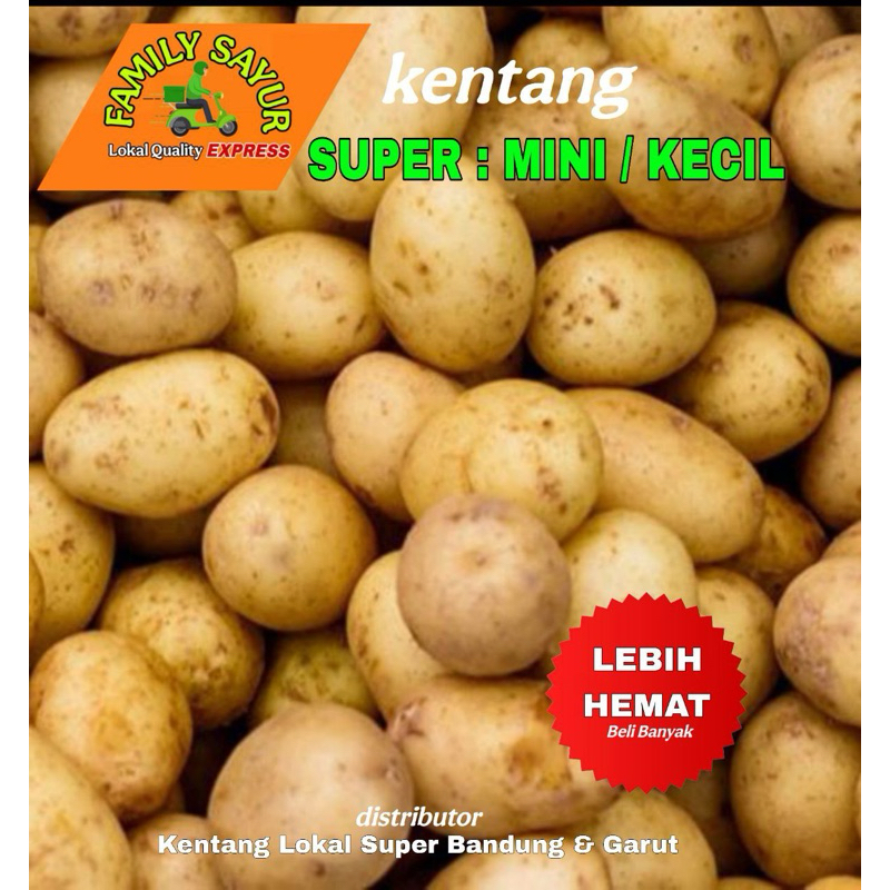 

Kentang Super Mini / Baby 1kg Fresh Bisa COD