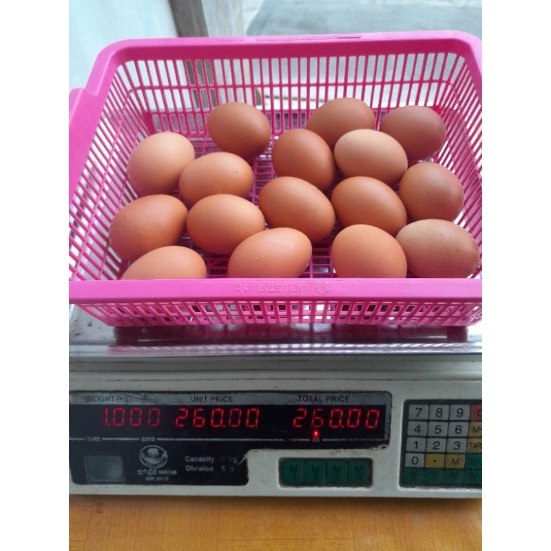 

Telur 1kg