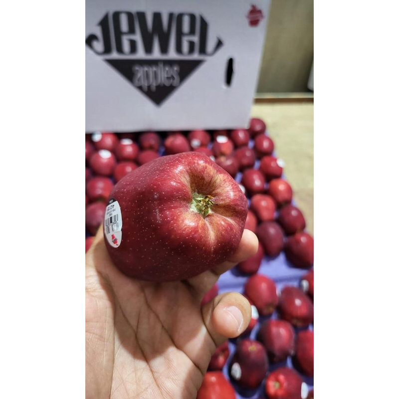 

Apel Merah / Red Del USA 1 Dus (18 KG) Fresh Import