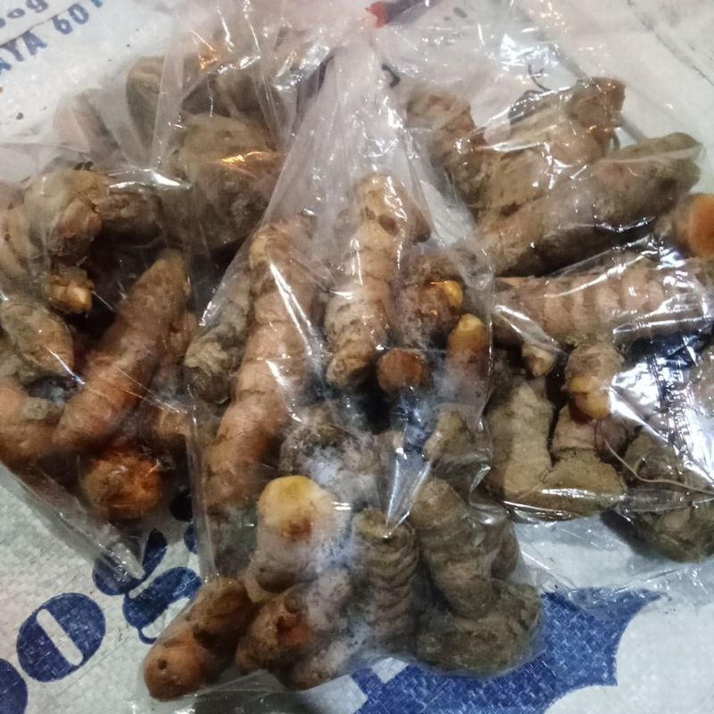 

Kunyit Segar 1kg - Kualitas Terbaik untuk Kesehatan dan Masakan