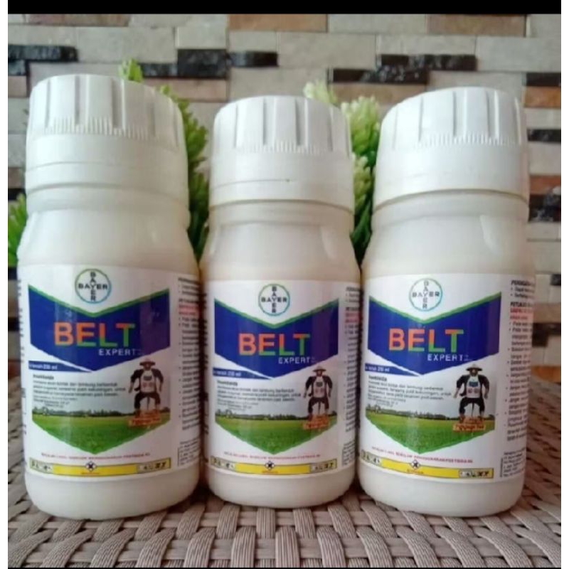 BELT EXPERT 480 SC 250 ML