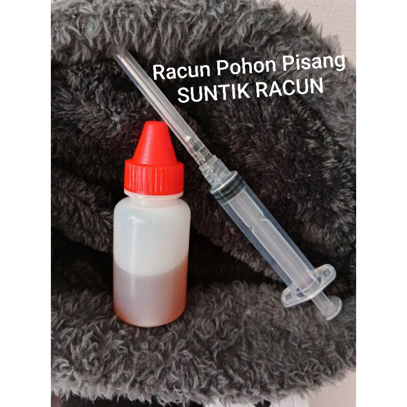 SUNTIK Racun Pohon PISANG, jenis Suntik, AMPUHHH
