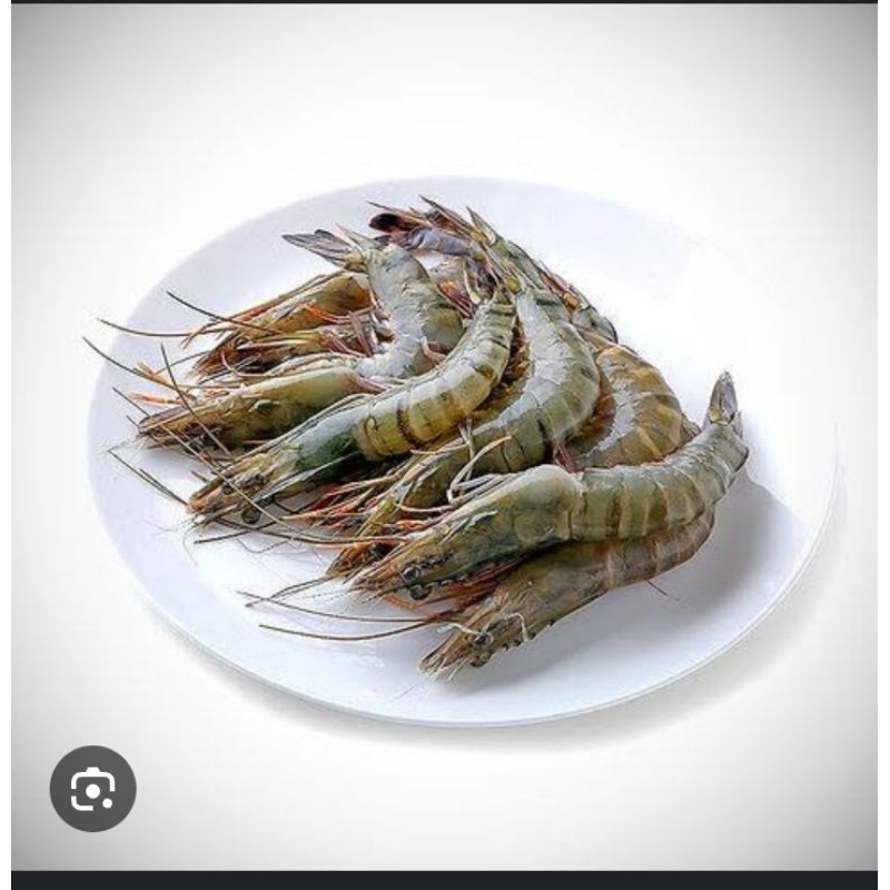 

udang 250gram