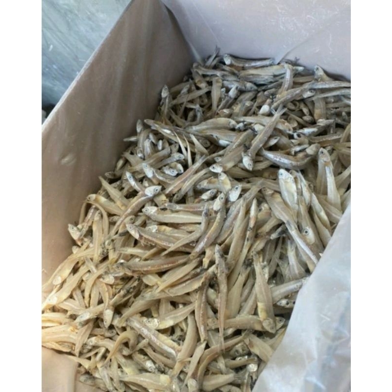 

teri asin jengki premium