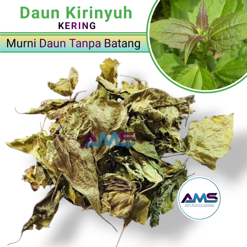 

Daun Kirinyuh Kering 500 Gram Murni Daun Tanpa Batang