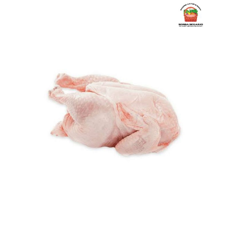 

Ayam Broiler Krakas Fresh 900-1kg