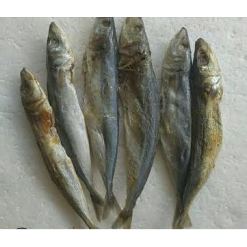 

asin peda layang 100 gram