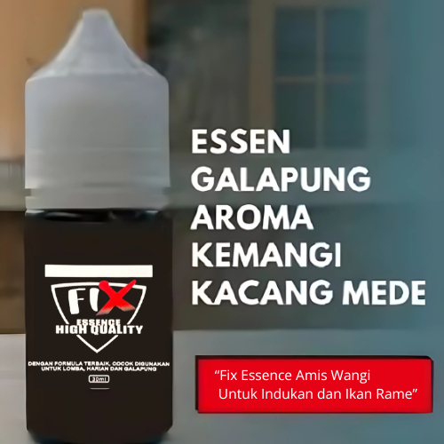 Essen Galapung/Fix Essen Ikan Mas Galapung Harian dan Lomba/Aroma Kemangi Kacang Mede