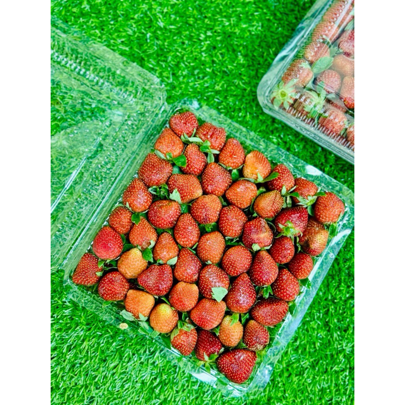 

Strawberry Fresh 1 kg