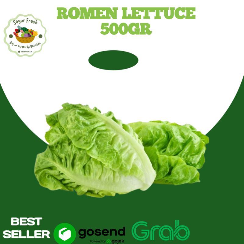 

ROMEN LETTUCE 500GRAM
