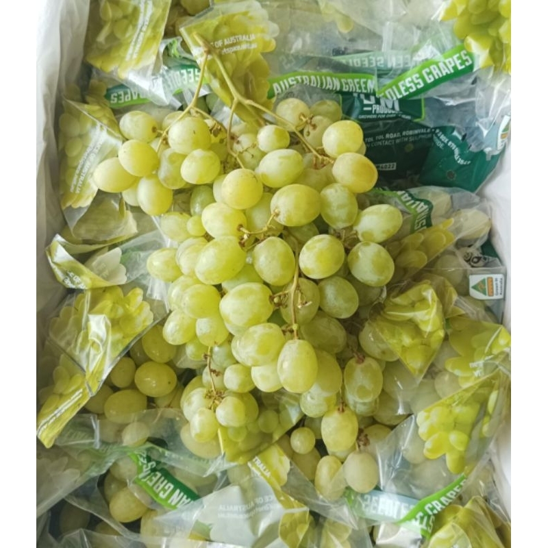 

Anggur Great Green Australia 1 dus 9 kg