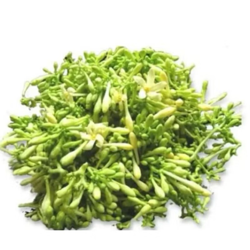 

Bunga Pepaya / Kembang Kates