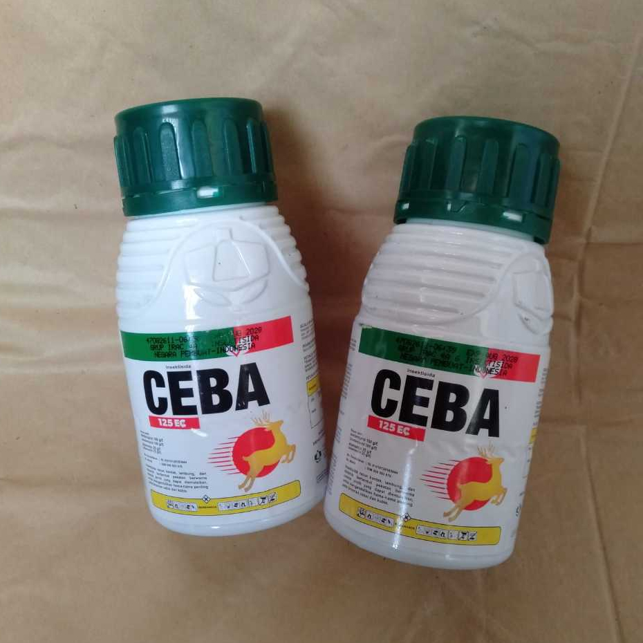 Insektisida Racun Kontak,Lambung,Sistemik CEBA 125 EC (asetamiprid 100g/l + abamektin 25g/l) - 200ml