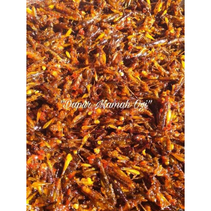 

simeut goreng bumbu pedas manis