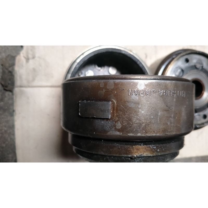 mahnit magnet tiger tirev original copotan