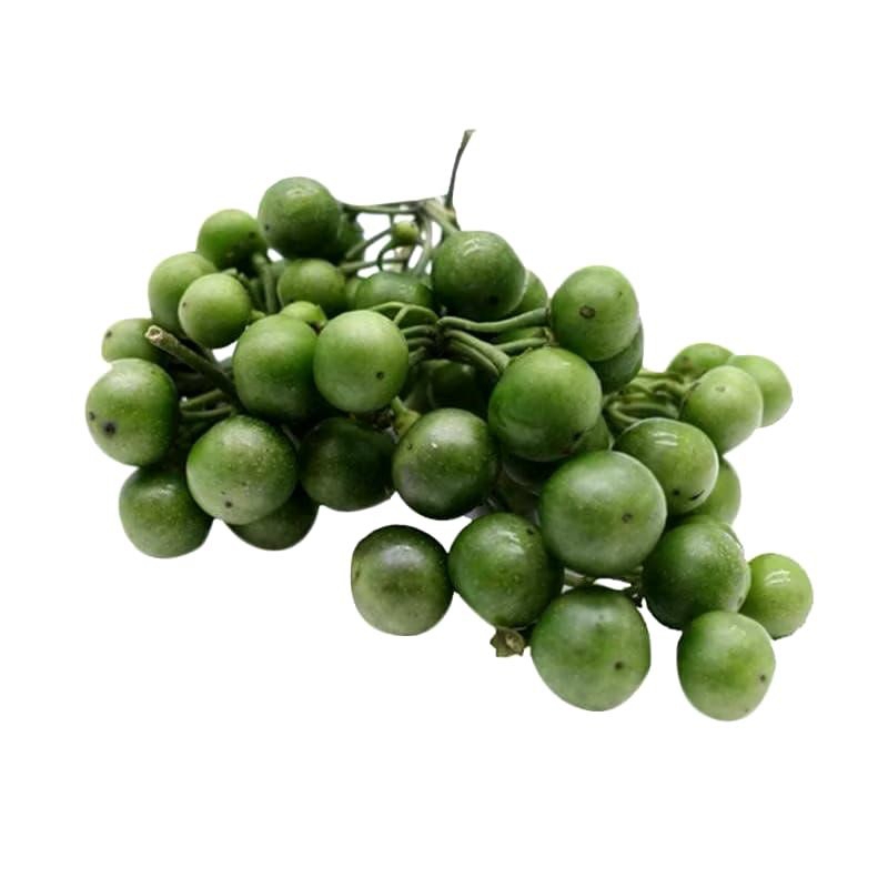 

leunca segar 250gr