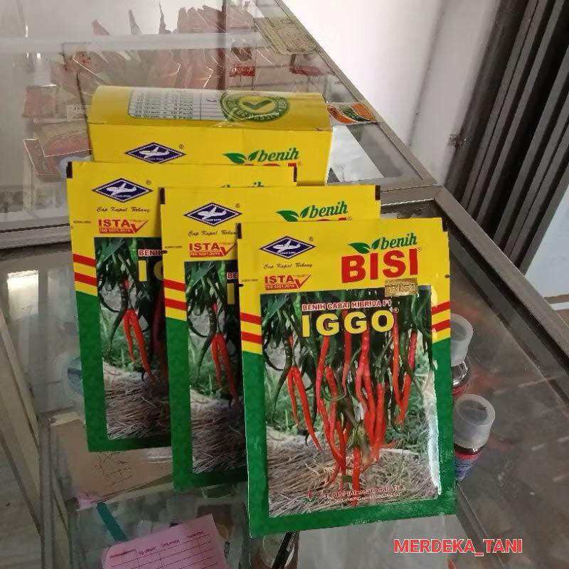 BENIH CABE IGGO F1 10 GRAM
