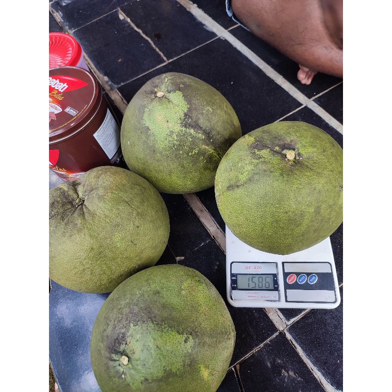 

Grosir Buah Segar Jeruk Pamelo Madu berat 6kg isi 4 buah