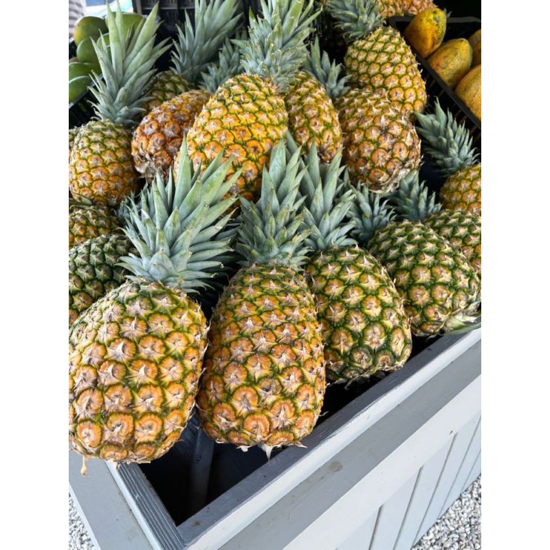 

Nanas sudah matang, nanas jumbo