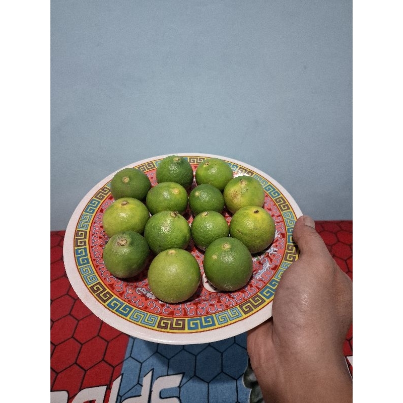 

JERUK NIPIS LOKAL PREMIUM