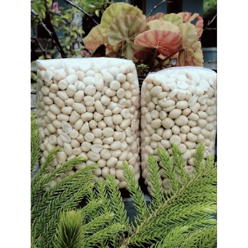 

( Grosir) kacang kupas ukuran kecil 500 gram x 5 pack