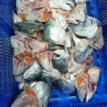 

Kepala salmon belah 1kg